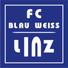 BW林茨logo